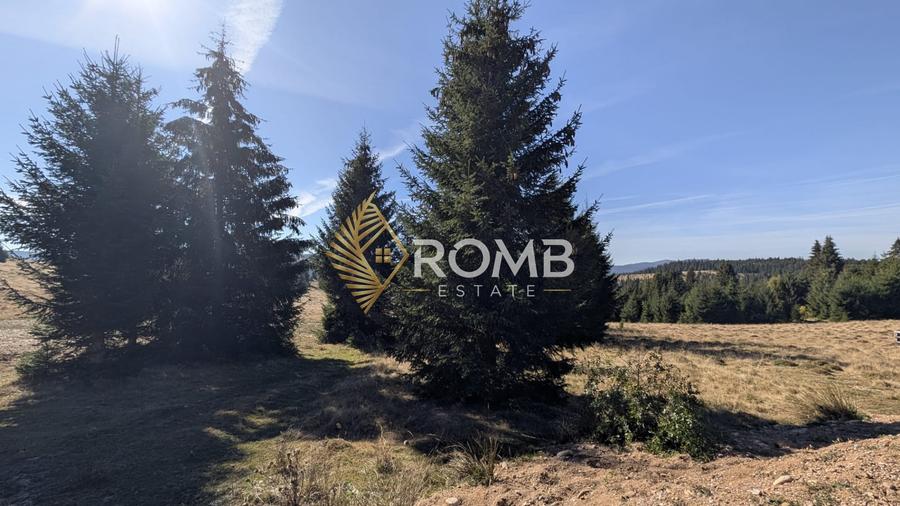 Teren Construcții intravilan de 1180 mp, în Beliș