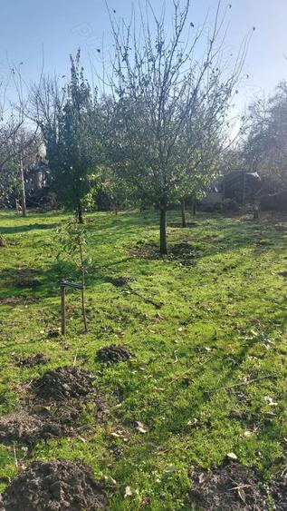 Casă cu 3 camere cu Teren 2000 Mp în Platonești
