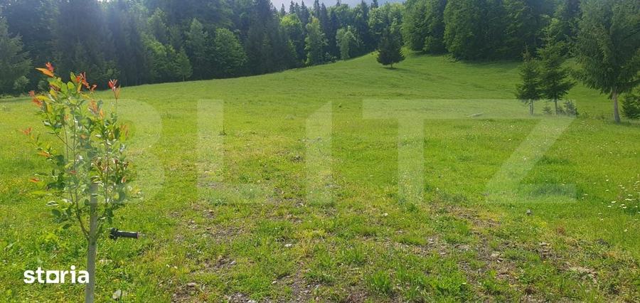 Casă cu 2 camere cu Teren 30000 Mp în Dorna Candrenilor