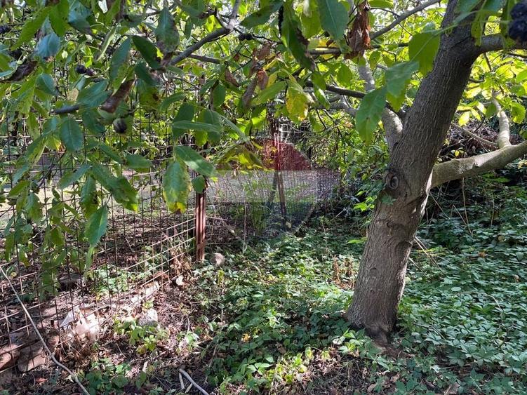 Teren Construcții intravilan de 2221 mp, în Prelungirea Ghencea