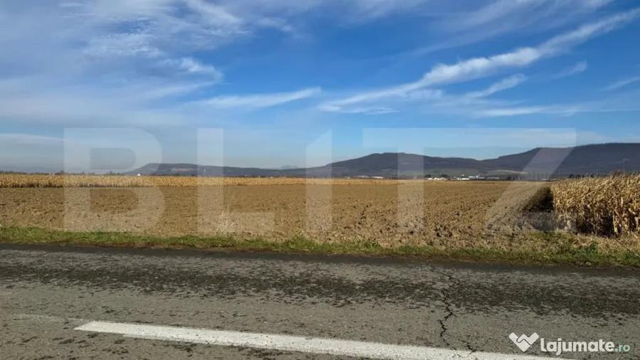 Teren de 5300 mp, în Arcalia
