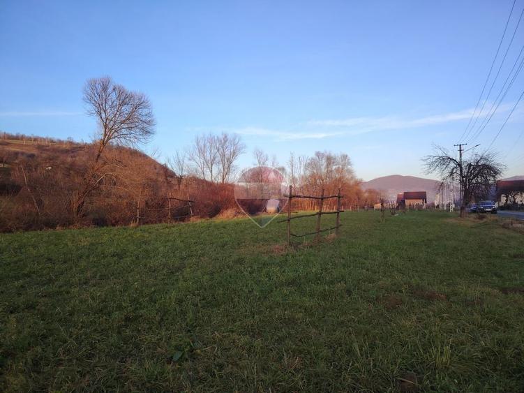 Teren de 2619 mp, în Bârsana