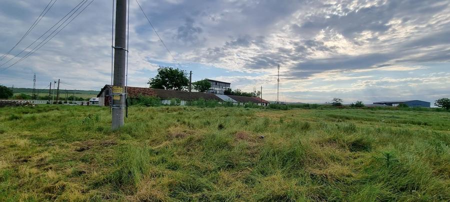 Teren Construcții intravilan de 10000 mp, în Nord-Est