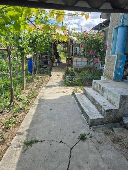 Casa batraneasca, Visterna - Tulcea, teren 2500mp - langa Babadag, Enisala - 5
