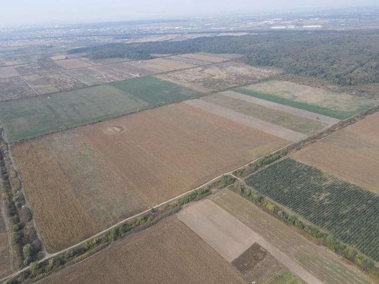 Teren Construcții intravilan de 213500 mp, în Moșnița Nouă