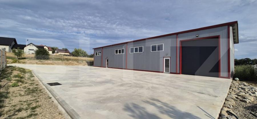 Hala depozitare/productie, 340 mp, Mitocasi - 1