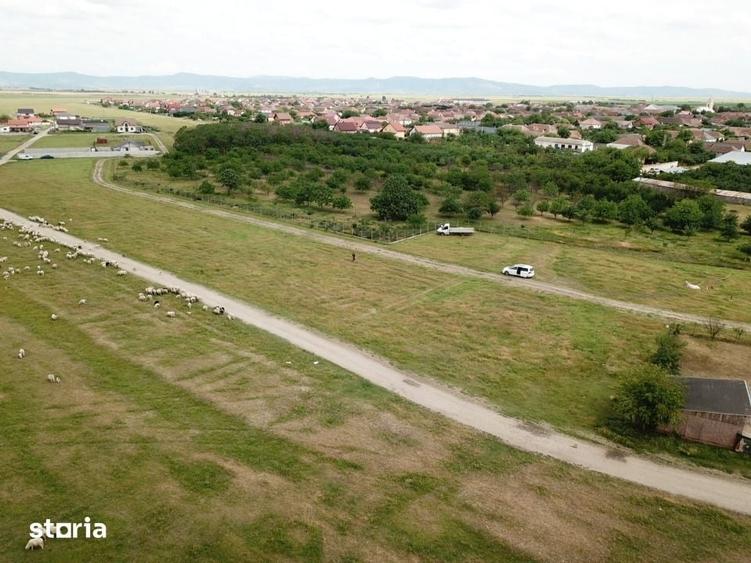 Teren de 500 mp, în Vladimirescu