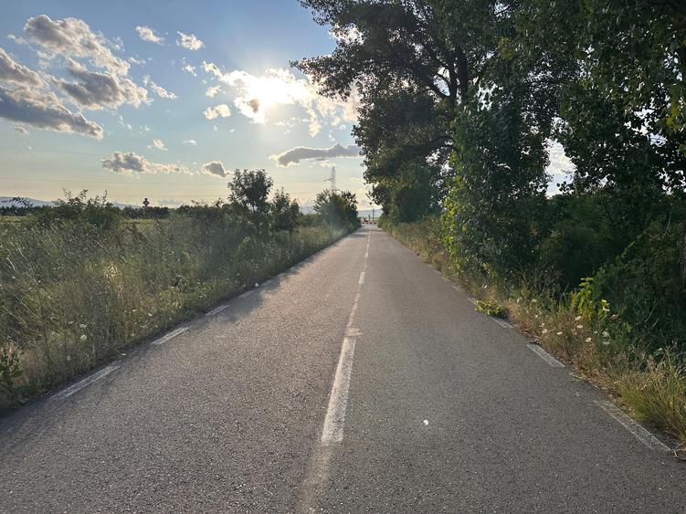 Teren agricol extravilan de 9113 mp, în Cotești