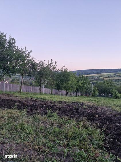 Teren de 740 mp, în Tomești