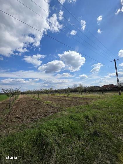 Casă cu 3 camere cu Teren 20000 Mp în Leleasca