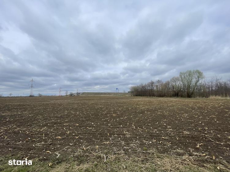 TEREN INTRAVILAN | 50 ARI | ZONA PERIFERICA RADAUTI - 10