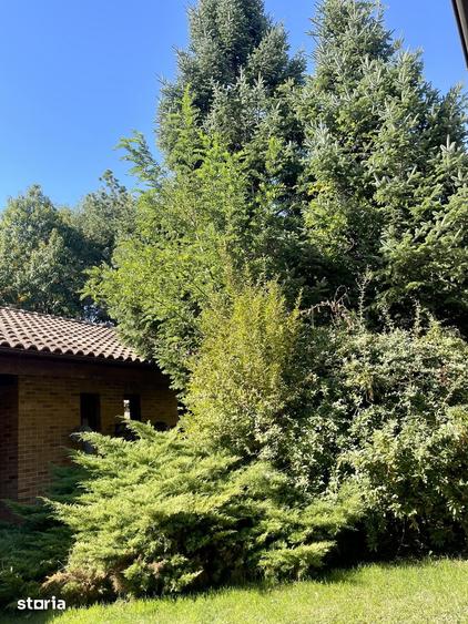 Casă cu 4 camere cu Teren 585 Mp în Corbeanca