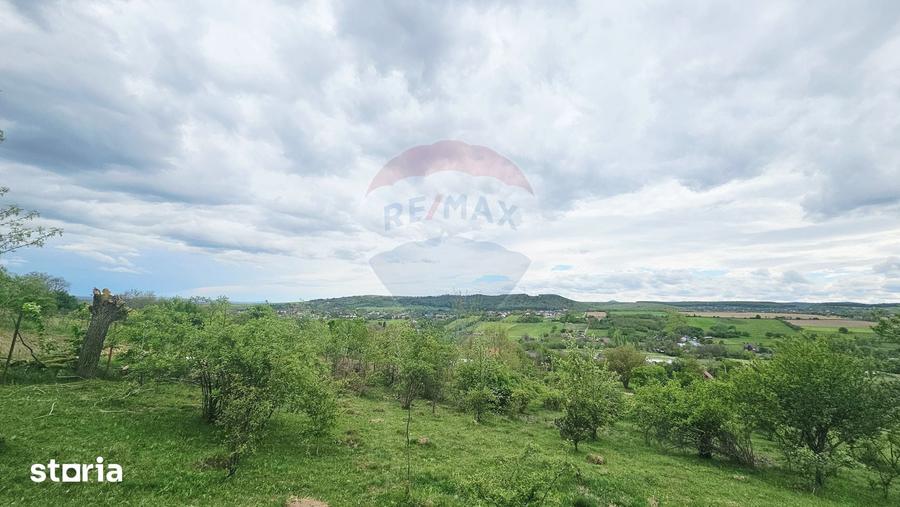 Teren de 5350 mp, în Dobreni