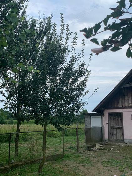 Casa + teren de 17.000 m2 de vanzare in sat Aciua, comuna Pomi, jud.Satu Mare