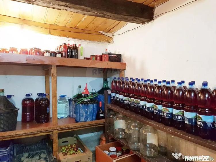 Casă cu 6 camere cu Teren 1453 Mp în Mâsca
