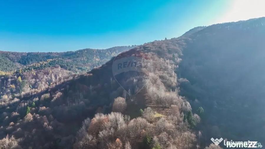 Teren Colinar Panoramic 17.684 mp in Scheii Bra?ovului - 12