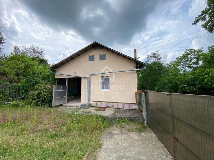 Teren Construcții intravilan de 15900 mp, în Fințești