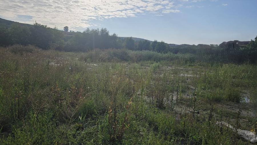 Teren Construcții intravilan de 2065 mp, în Chinteni