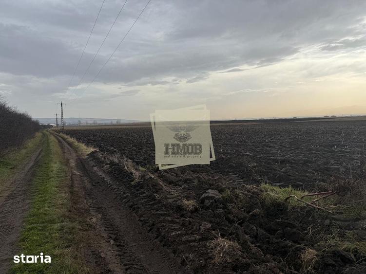 Teren de 20300 mp, în Central