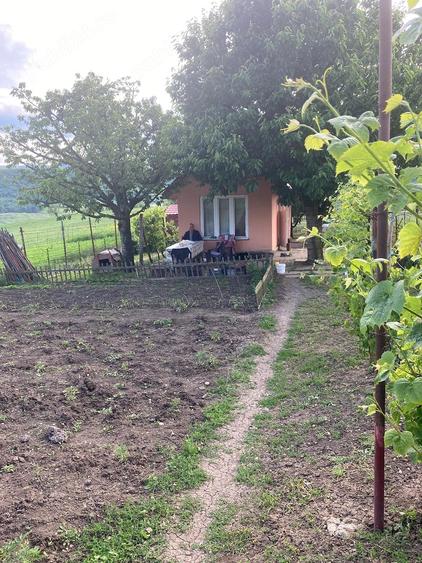 Teren de 2000 mp, în Dezmir