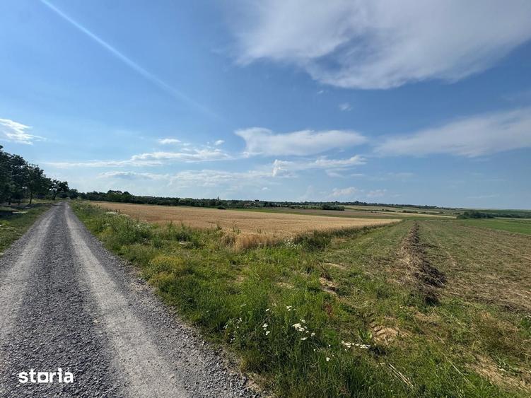 Teren de 3632 mp, în Viile Satu Mare