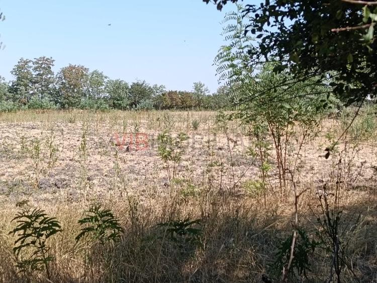 Teren Construcții intravilan de 7200 mp, în Chevereșu Mare