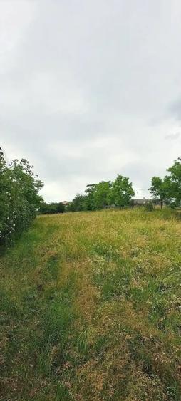 Teren de 1500 mp, în Central