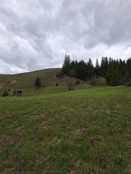 Teren de 600 mp, în Paltin