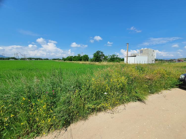 Teren Construcții intravilan de 4300 mp, în Sânpetru