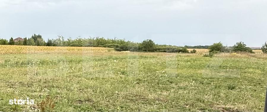 Teren intravilan , 500 mp , Zona Odoreu - 1