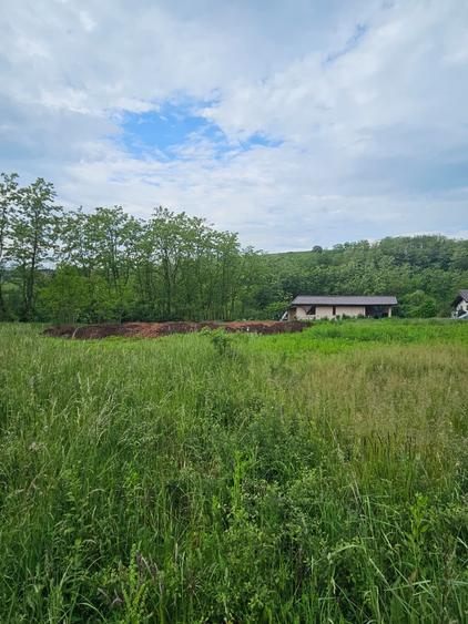 Teren Construcții de 675 mp, în Ciugud