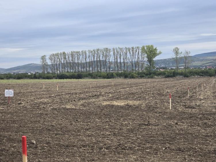 Teren de 500 mp, în Dancu