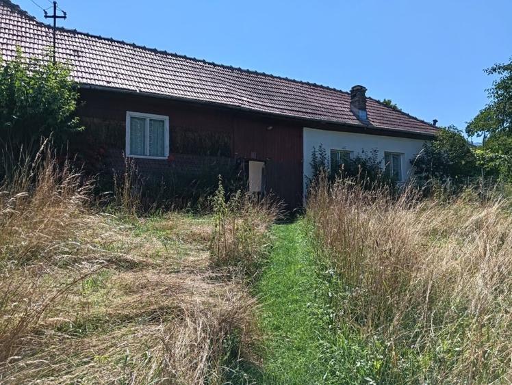 Teren Construcții intravilan de 3981 mp, în Bran