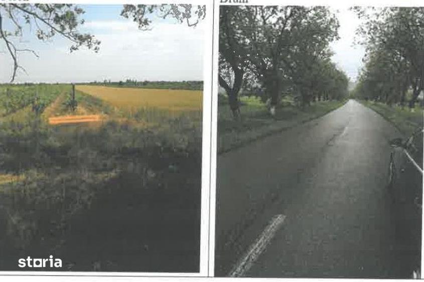 Teren de 1200 mp, în Ulmeni