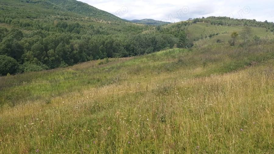 Teren de 500 mp, în Sălicea