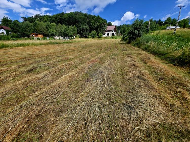 Teren de 680 mp, în Viișoara