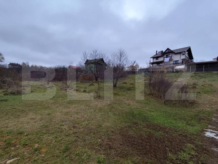 Teren Construcții intravilan de 2618 mp, în Strugurilor