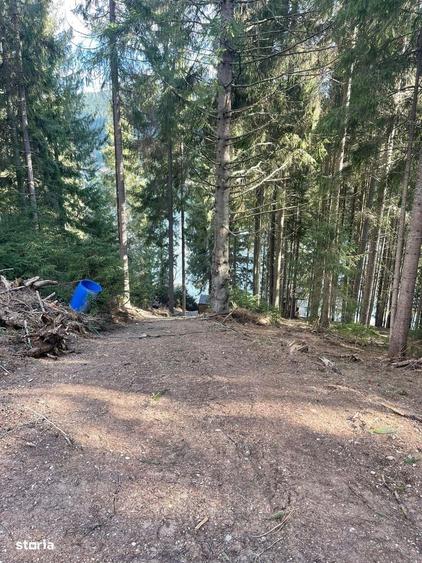 Spațiu comercial, în Luna