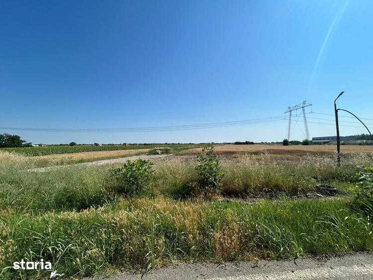 Teren de 11000 mp, în Frumușani