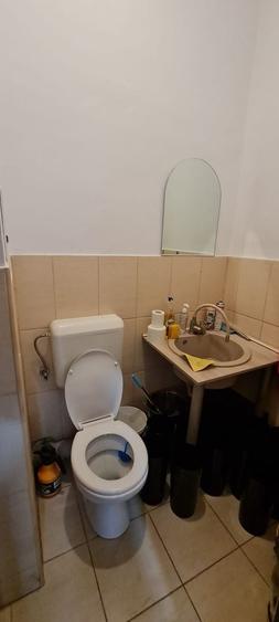 Spațiu comercial, de 35 mp, în Moșilor