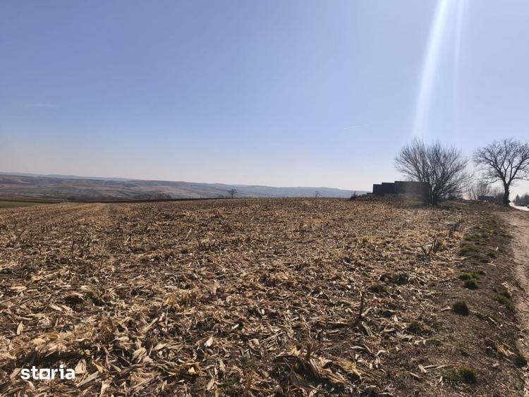 Teren de 6500 mp, în Grănicești