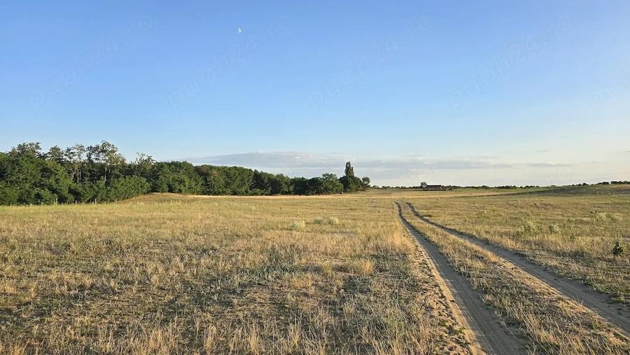 Teren de 40000 mp, în Central
