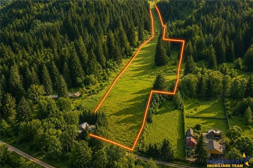 Teren de 7800 mp, în Lunca