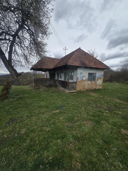 Casă cu Teren 1000 Mp în Stoieneasa