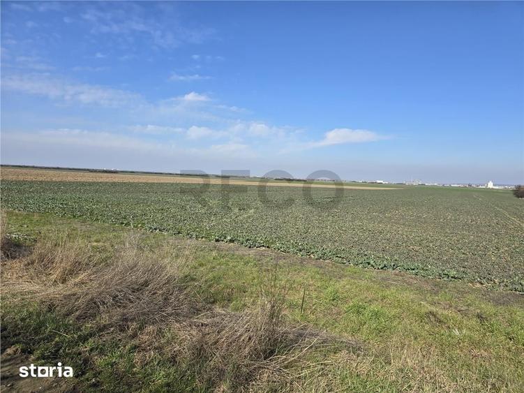 Teren de 22418 mp, în Calea Aradului