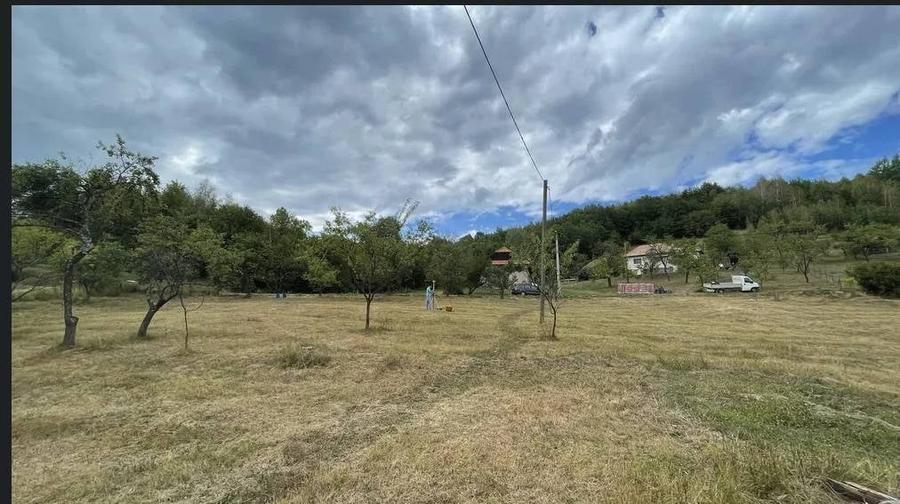 Vand 5.200 mp intravilan in Trani?u ideal cabana sau casa de vacan?a - 17euro mp - negociabil - 1