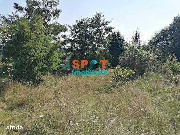 Spațiu comercial, în Ceanu Mic