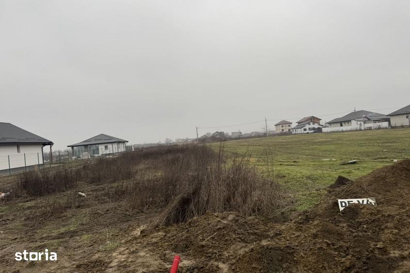 Teren de 5000 mp, în 1 Decembrie