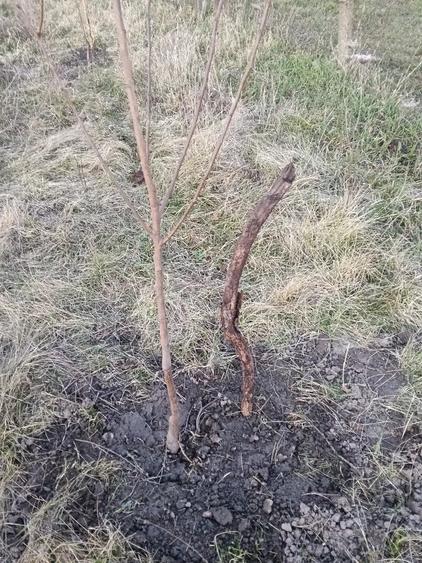 De vanzare Teren intravilan - 6