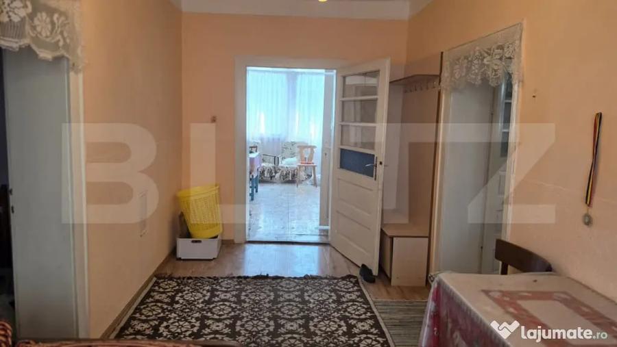 Casă cu 4 camere cu Teren 2658 Mp în Sătmărel